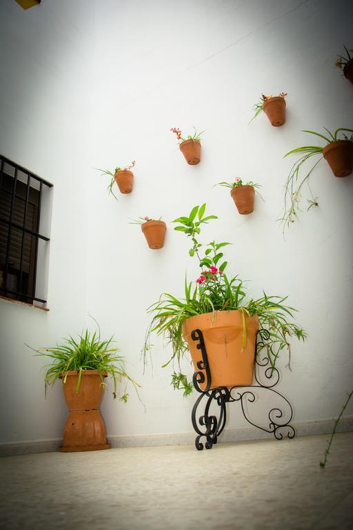 Hostal Malia Conil De La Frontera Exteriér fotografie